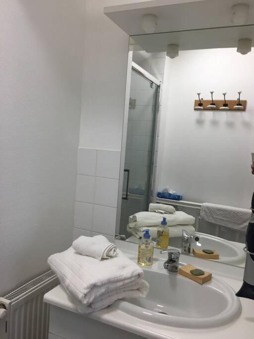 Bel Appartement Climatise Plein Centre Ville Poitiers Bagian luar foto